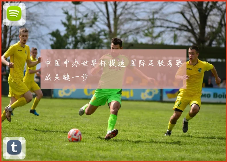 中国申办世界杯提速 国际足联考察成关键一步