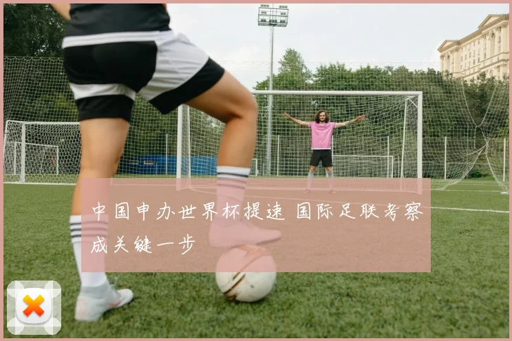 中国申办世界杯提速 国际足联考察成关键一步