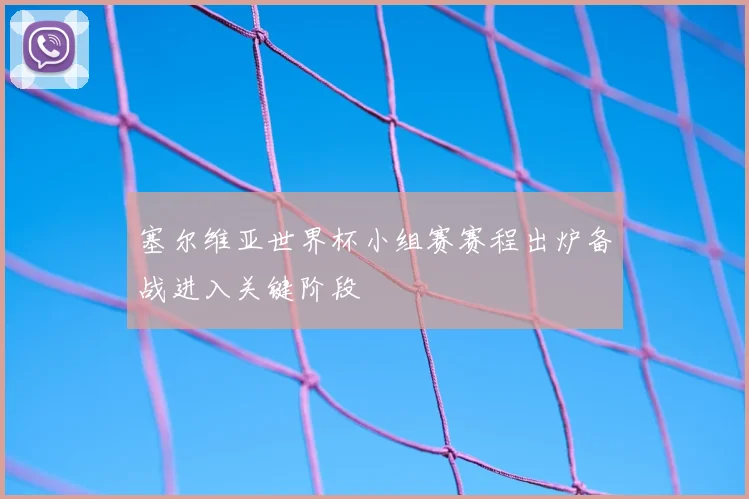 塞尔维亚世界杯小组赛赛程出炉备战进入关键阶段