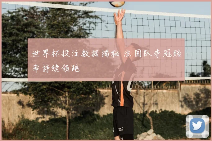 世界杯投注数据揭秘 法国队夺冠赔率持续领跑