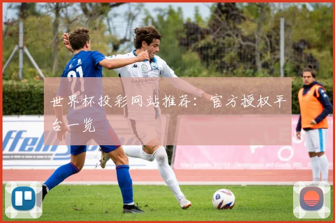 世界杯投彩网站推荐：官方授权平台一览