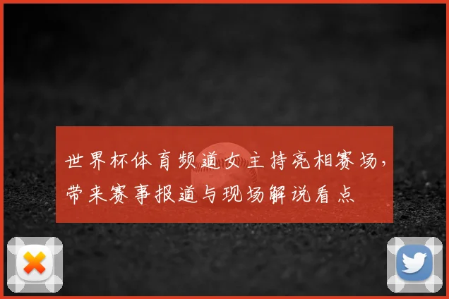 世界杯体育频道女主持亮相赛场，带来赛事报道与现场解说看点